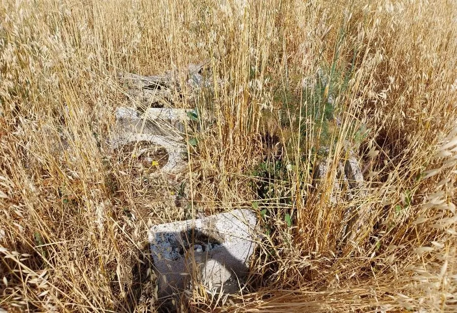 Foto 8 - Vecinos del Barrio de San Isidoro denuncian la dejadez en la zona, en especial en la parcela-almac&eacute;n