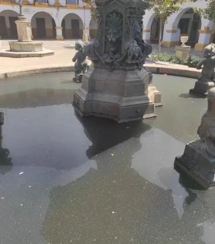 Foto 2 - El PSOE lamenta el &ldquo;total abandono&rdquo; de la fuente de la Plazuela del Buen Alcalde