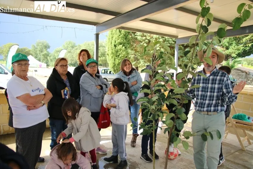 Festival Ecológico Arboleda en Villavieja de Yeltes / CORRAL