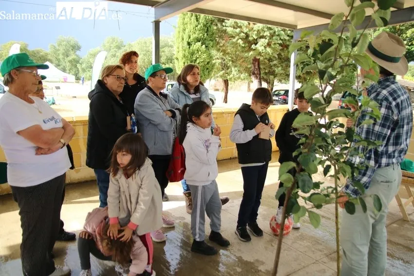 Festival Ecológico Arboleda en Villavieja de Yeltes / CORRAL