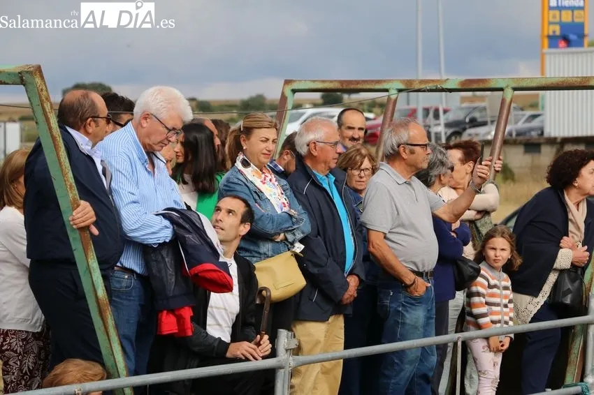 Entretenido festejo taurino en Villar de Peralonso / CORRAL