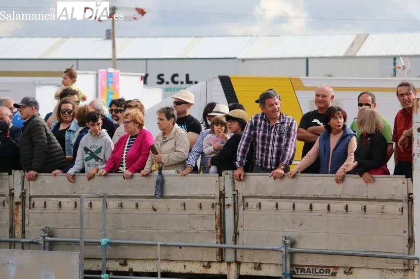 Entretenido festejo taurino en Villar de Peralonso / CORRAL