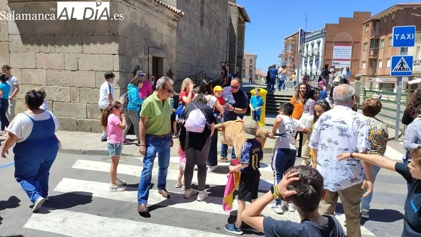 Encierro del sábado de Corpus en Vitigudino / CORRAL