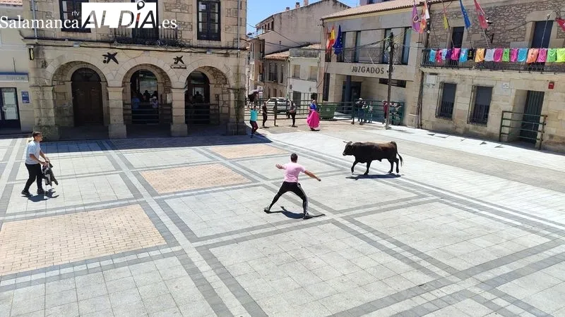 Encierro del Domingo de Corpus en Vitigudino / CORRAL