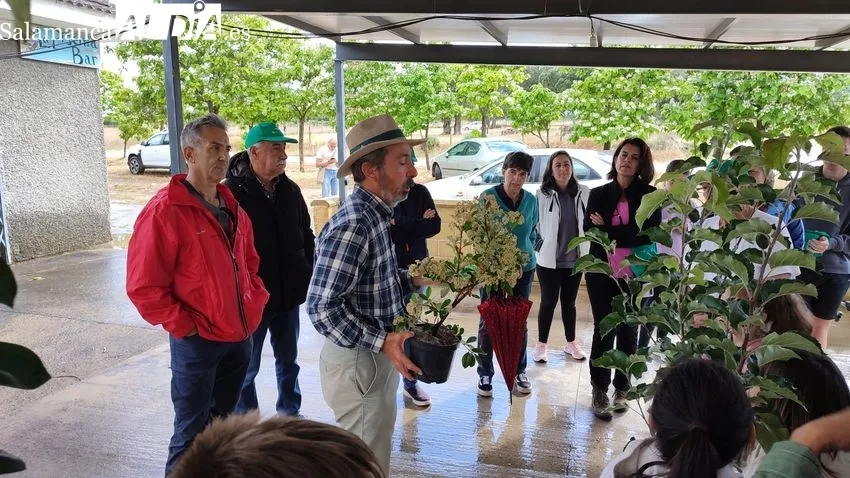Festival Ecológico Arboleda en Villavieja de Yeltes / CORRAL