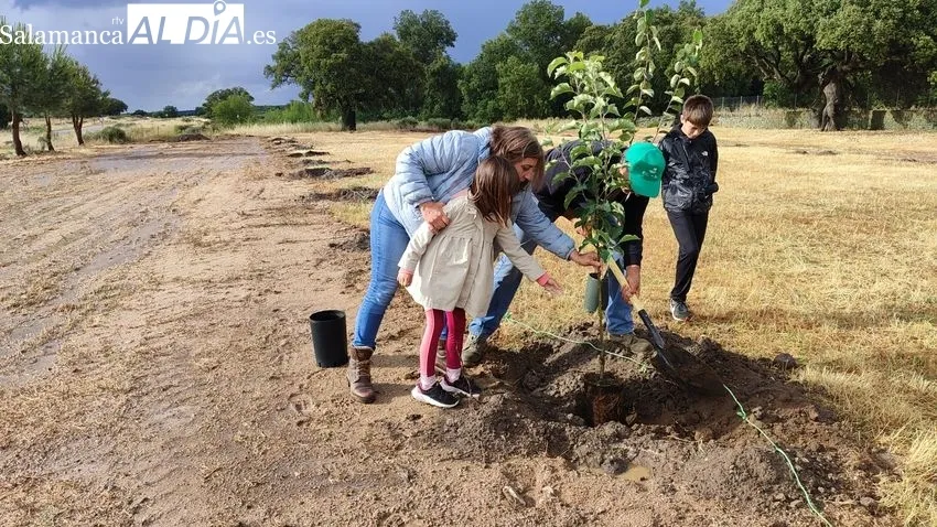 Festival Ecológico Arboleda en Villavieja de Yeltes / CORRAL