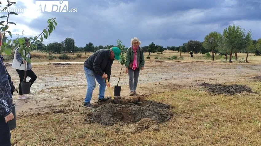 Festival Ecológico Arboleda en Villavieja de Yeltes / CORRAL