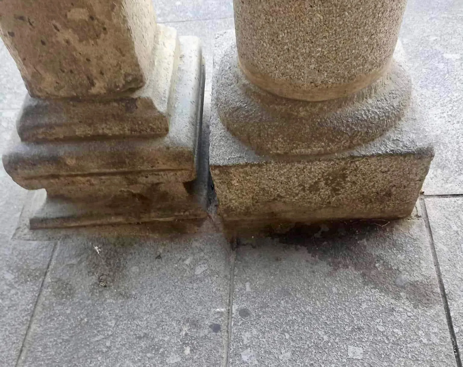 Foto 3 - &ldquo;Pedimos civismo y que se limpien las orinas de los perros, son un foco de infecciones y sueciedad&rdquo;