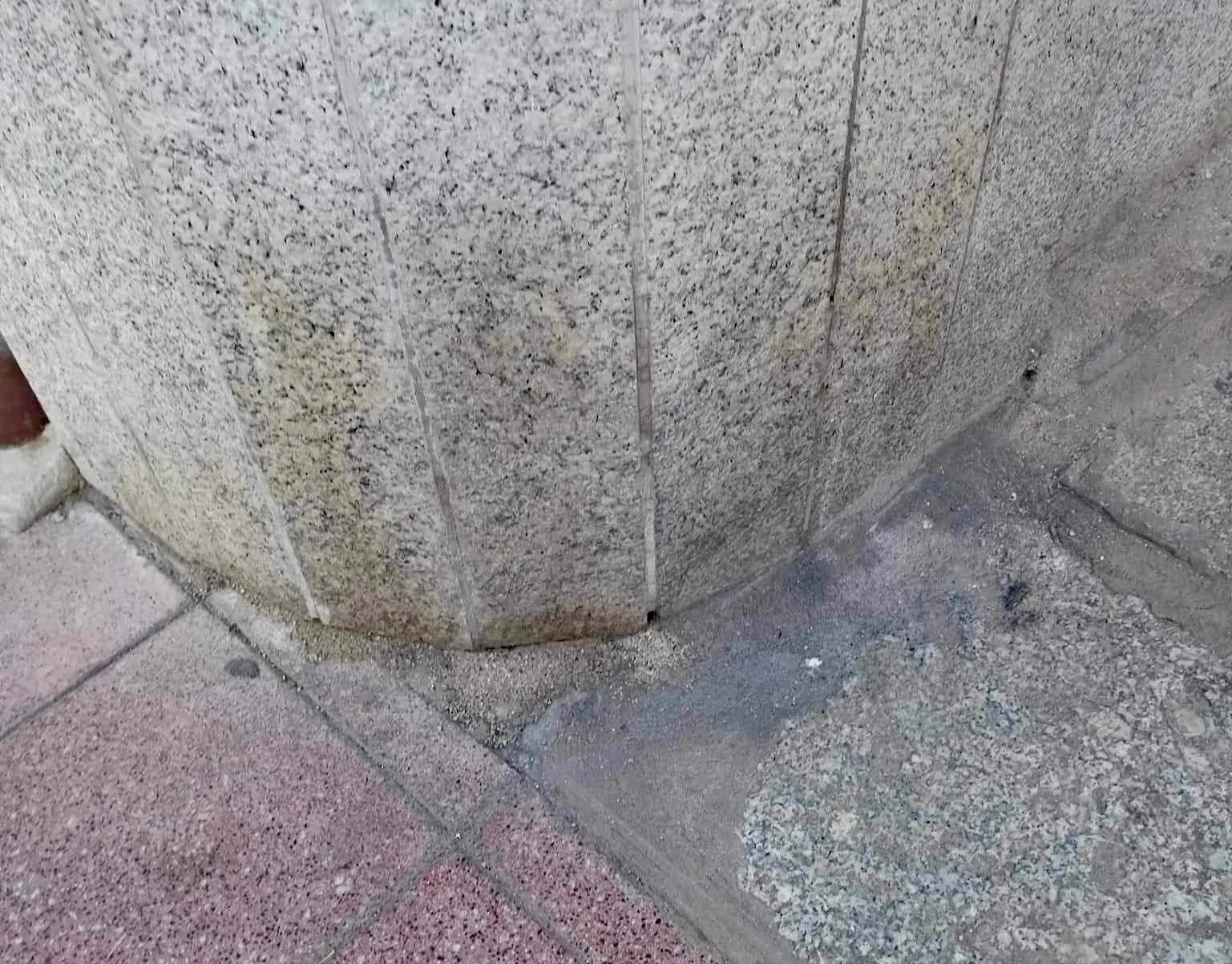 Foto 2 - &ldquo;Pedimos civismo y que se limpien las orinas de los perros, son un foco de infecciones y sueciedad&rdquo;
