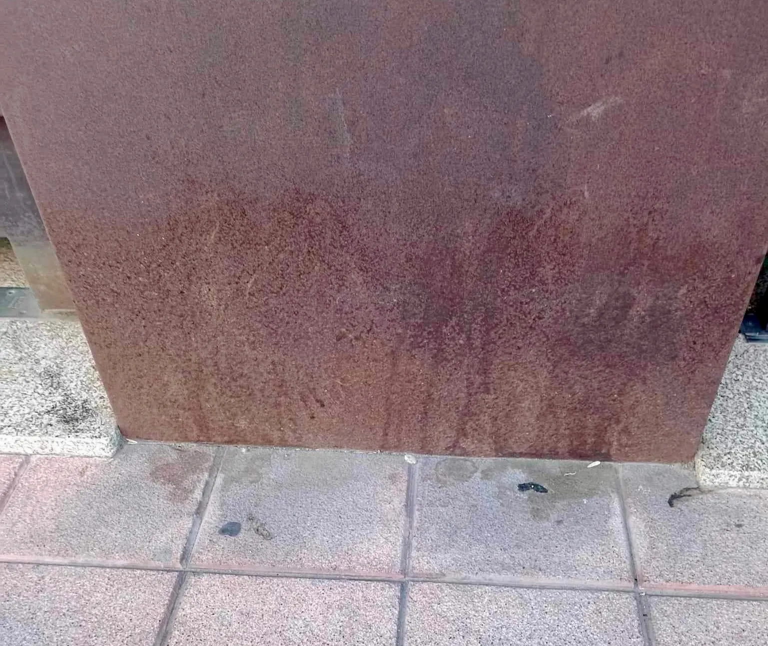 Foto 4 - &ldquo;Pedimos civismo y que se limpien las orinas de los perros, son un foco de infecciones y sueciedad&rdquo;