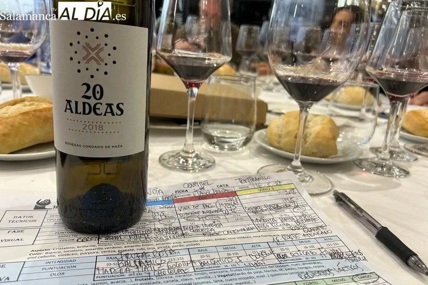 Cata de 20 Aldeas 2018, Vino de la Tierra de Castilla y León / FOTOS: JAVIER BRAGADO