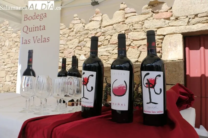 Variada II Feria Agroalimentaria 'Castillo de Cerralbo' con 25 expositores / CORRAL