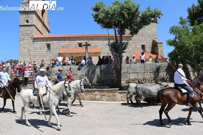 Foto 10 - Bonito encierro a caballo en Bogajo con reses de Hros. de Dionisio Rodr&iacute;guez