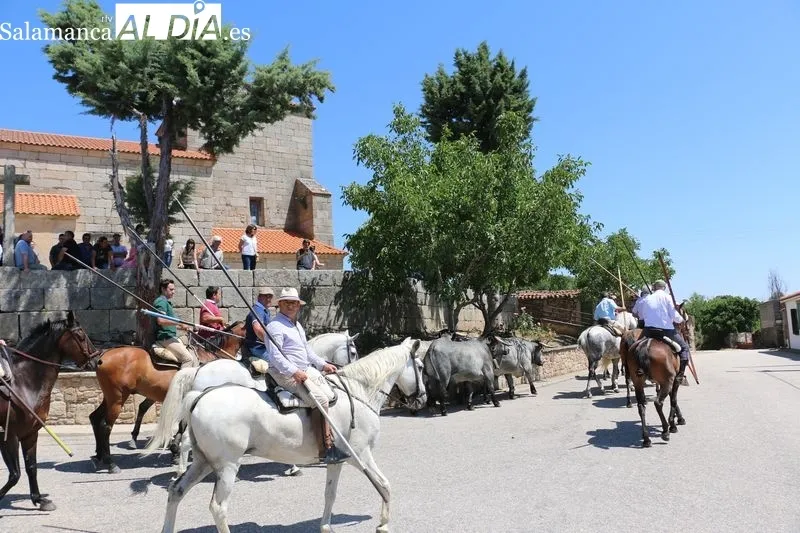 Foto 9 - Bonito encierro a caballo en Bogajo con reses de Hros. de Dionisio Rodr&iacute;guez