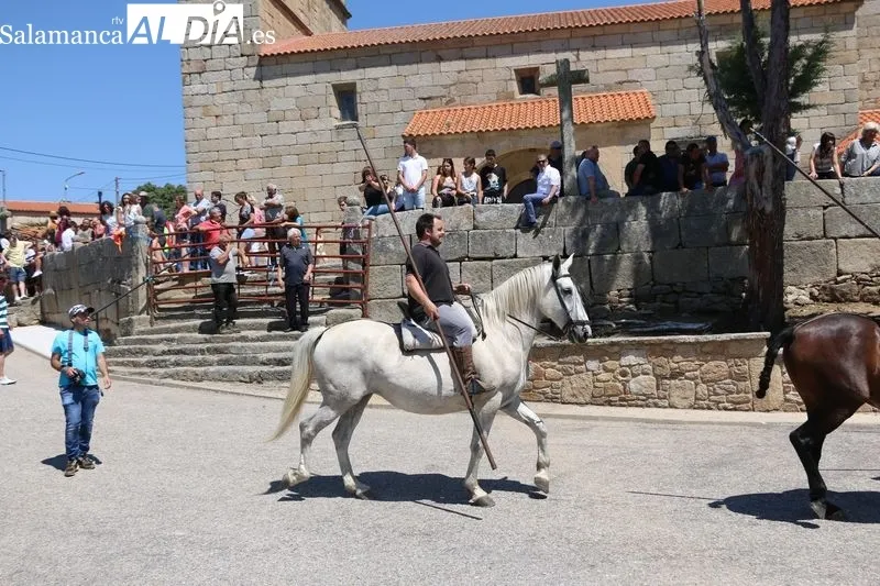 Foto 8 - Bonito encierro a caballo en Bogajo con reses de Hros. de Dionisio Rodr&iacute;guez