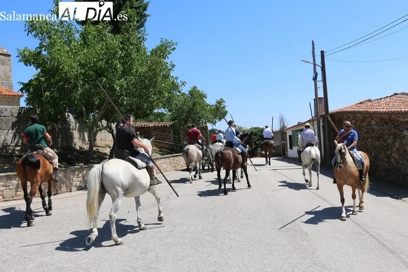 Foto 6 - Bonito encierro a caballo en Bogajo con reses de Hros. de Dionisio Rodr&iacute;guez