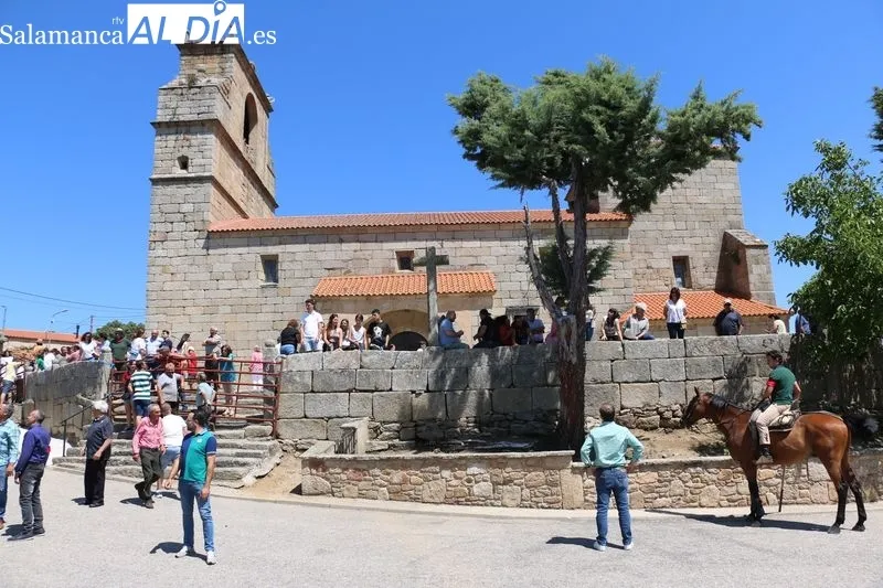 Foto 4 - Bonito encierro a caballo en Bogajo con reses de Hros. de Dionisio Rodr&iacute;guez