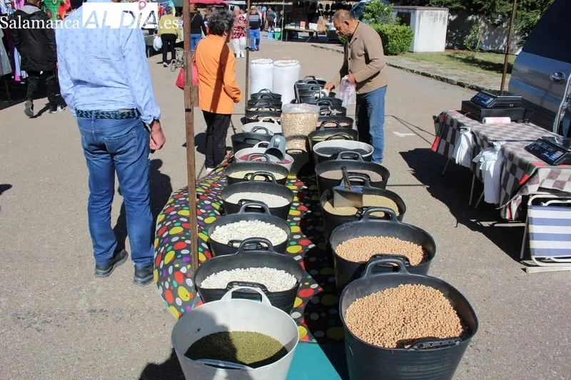 Foto 10 - El mercadillo de Trabanca anuncia la proximidad del verano con una buena afluencia de p&uacute;blico