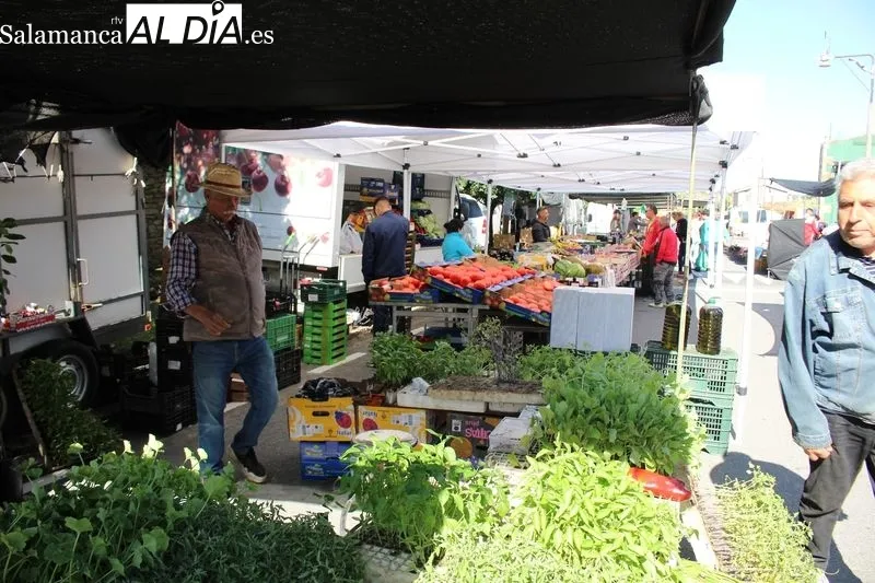 Foto 6 - El mercadillo de Trabanca anuncia la proximidad del verano con una buena afluencia de p&uacute;blico