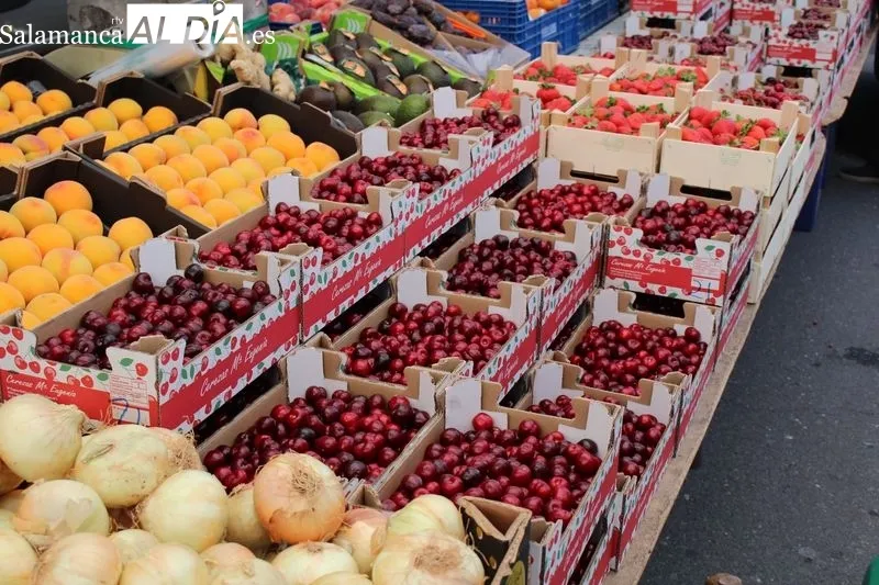 Foto 3 - El mercadillo de Trabanca anuncia la proximidad del verano con una buena afluencia de p&uacute;blico