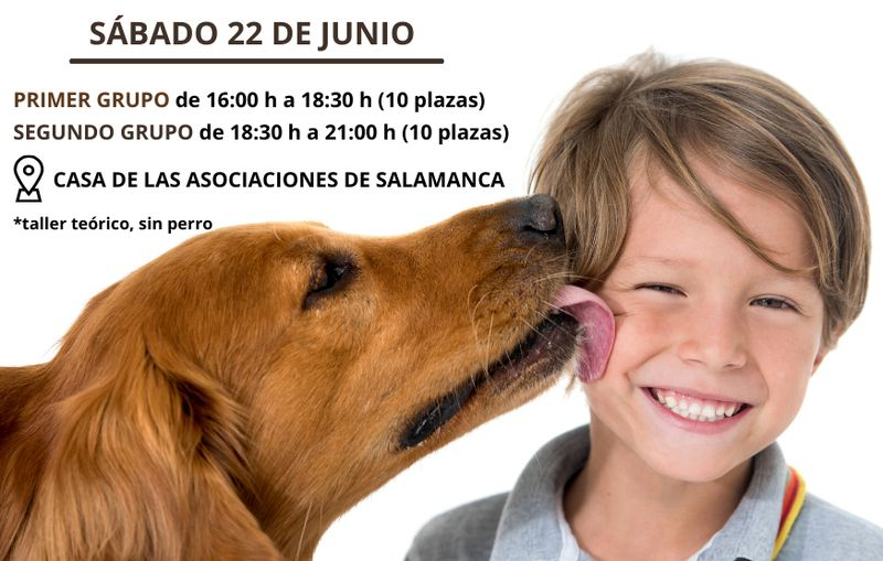 Salamanca: Curso gratuito de educación canina