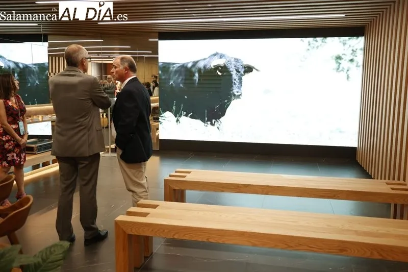 Nueva Oficina de Turismo de la Diputación de Salamanca en la Rúa Mayor. Foto: David Sañudo