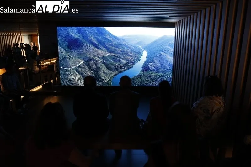 Nueva Oficina de Turismo de la Diputación de Salamanca en la Rúa Mayor. Foto: David Sañudo