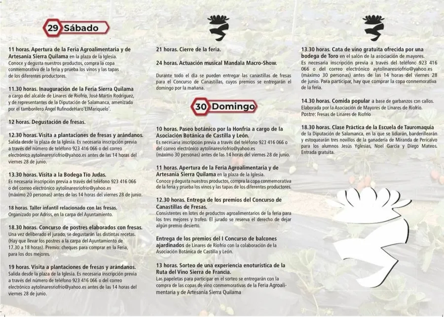 Foto 2 - Un buen n&uacute;mero de motivos para visitar Linares de Riofr&iacute;o