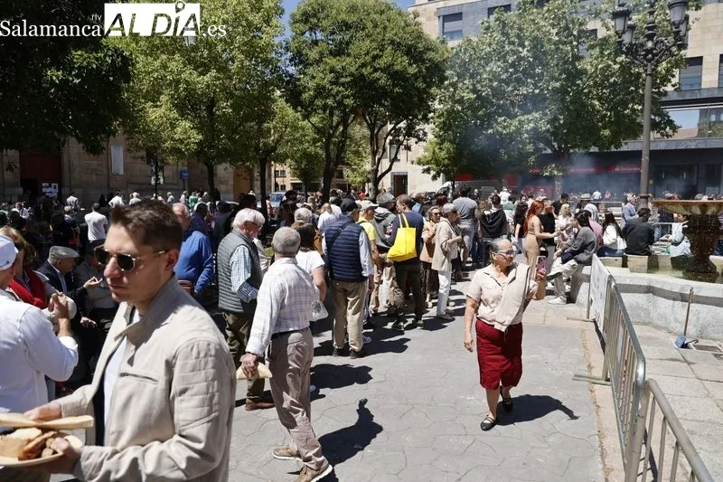 Parrilladas y paellas de ibérico en Los Bandos. Fotos: David Sañudo.