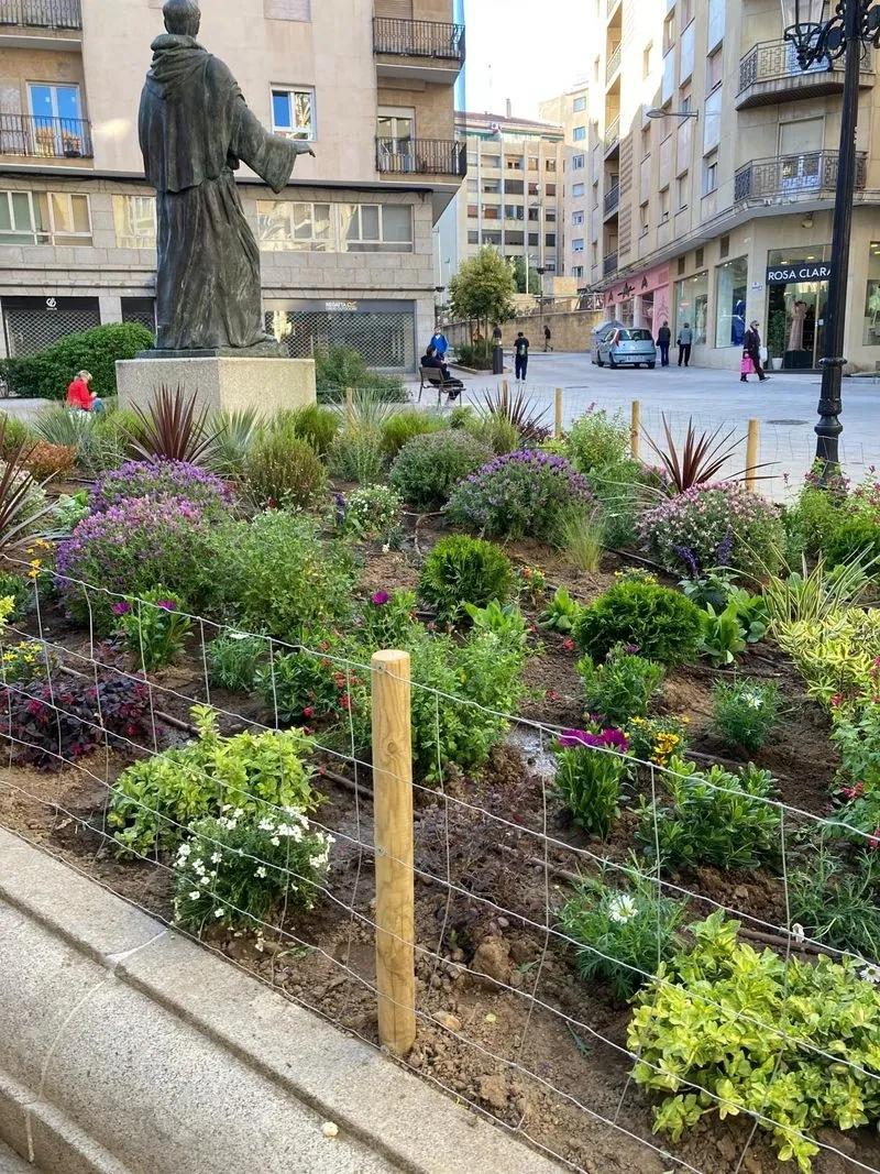 Parterre en San Juan de Sahagún.