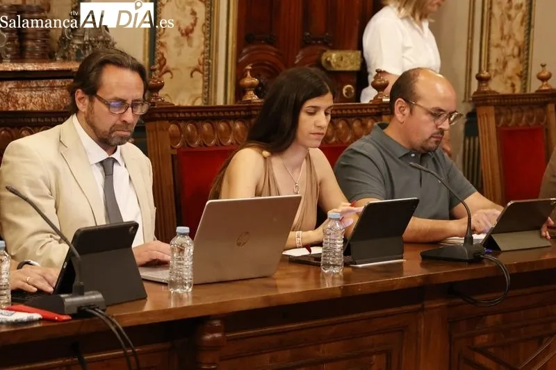 Pleno de este viernes en la Diputación de Salamanca. Foto de David Sañudo