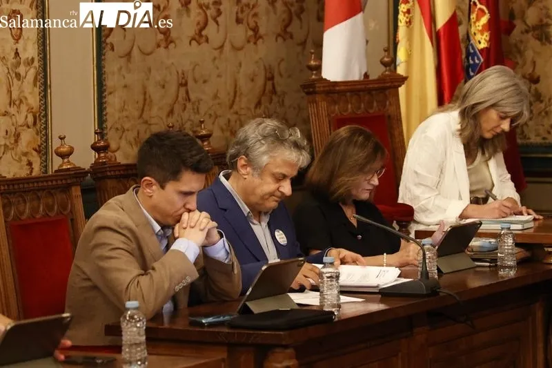 Pleno de este viernes en la Diputación de Salamanca. Foto de David Sañudo