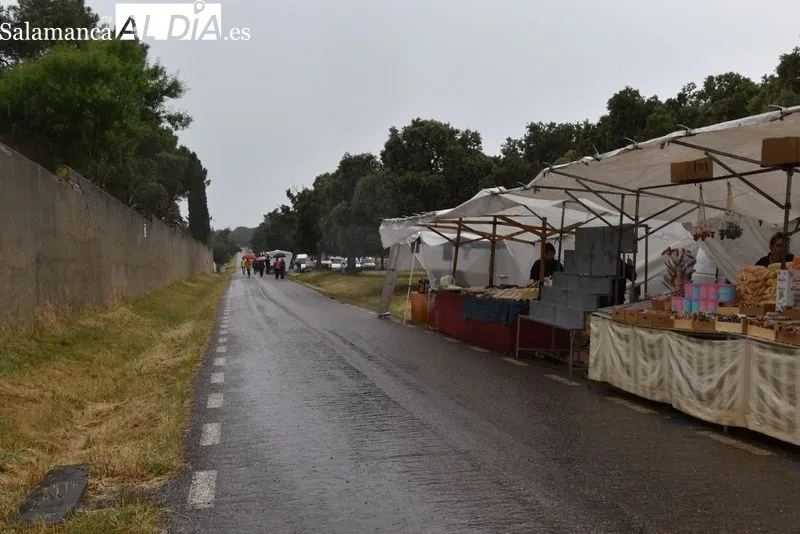 Romería del Cristo de Cabrera marcada por el mal tiempo. Foto de Vanesa Martins