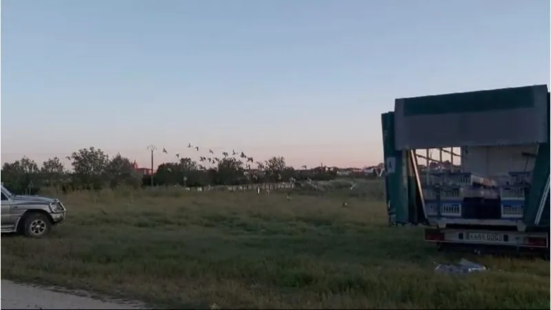 Suelta de palomas mensajeras en Lumbrales