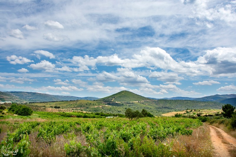 Salamanca: Sotoserrano