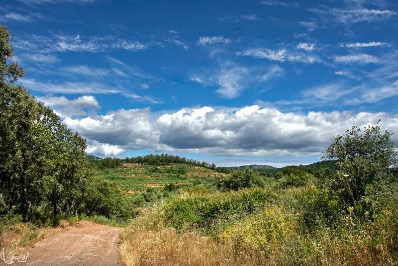 Ruta de los tres ríos en Sotoserrano. Foto de Manuel Lamas