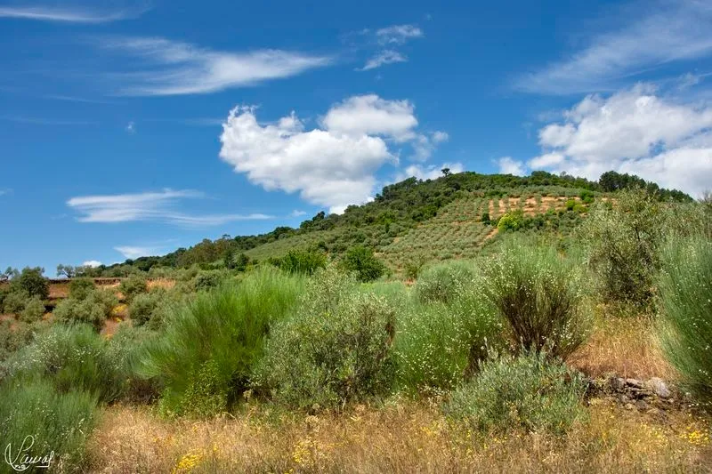 Ruta de los tres ríos en Sotoserrano. Foto de Manuel Lamas