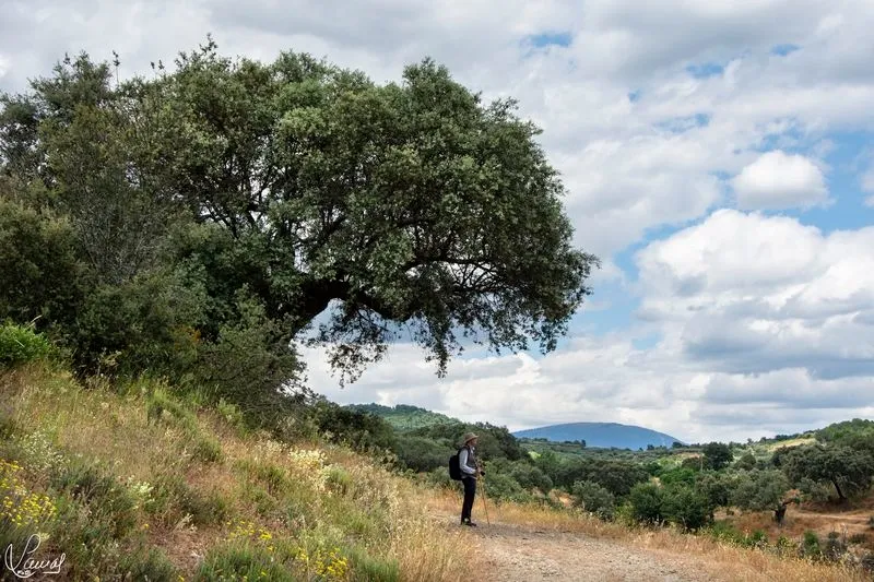 Ruta de los tres ríos en Sotoserrano. Foto de Manuel Lamas
