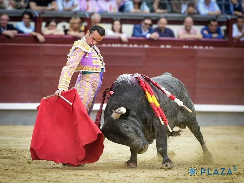 Damián Castaño toreando en Las Ventas en la Feria de San Isidro. Fotos: Plaza 1.