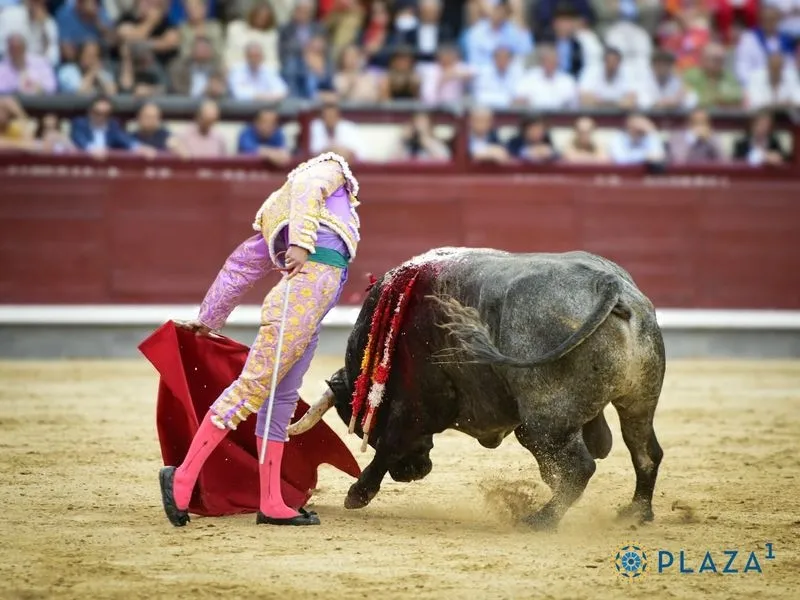 Damián Castaño toreando en Las Ventas en la Feria de San Isidro. Fotos: Plaza 1.
