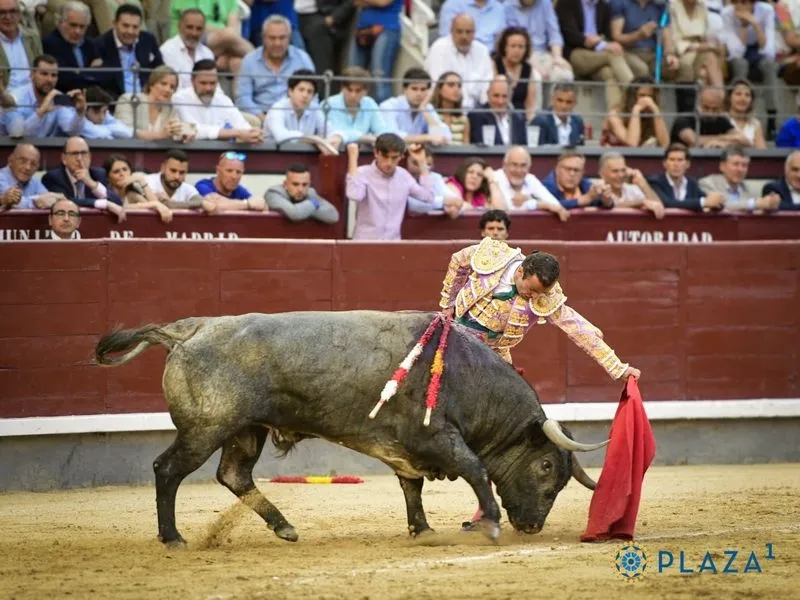 Damián Castaño toreando en Las Ventas en la Feria de San Isidro. Fotos: Plaza 1.