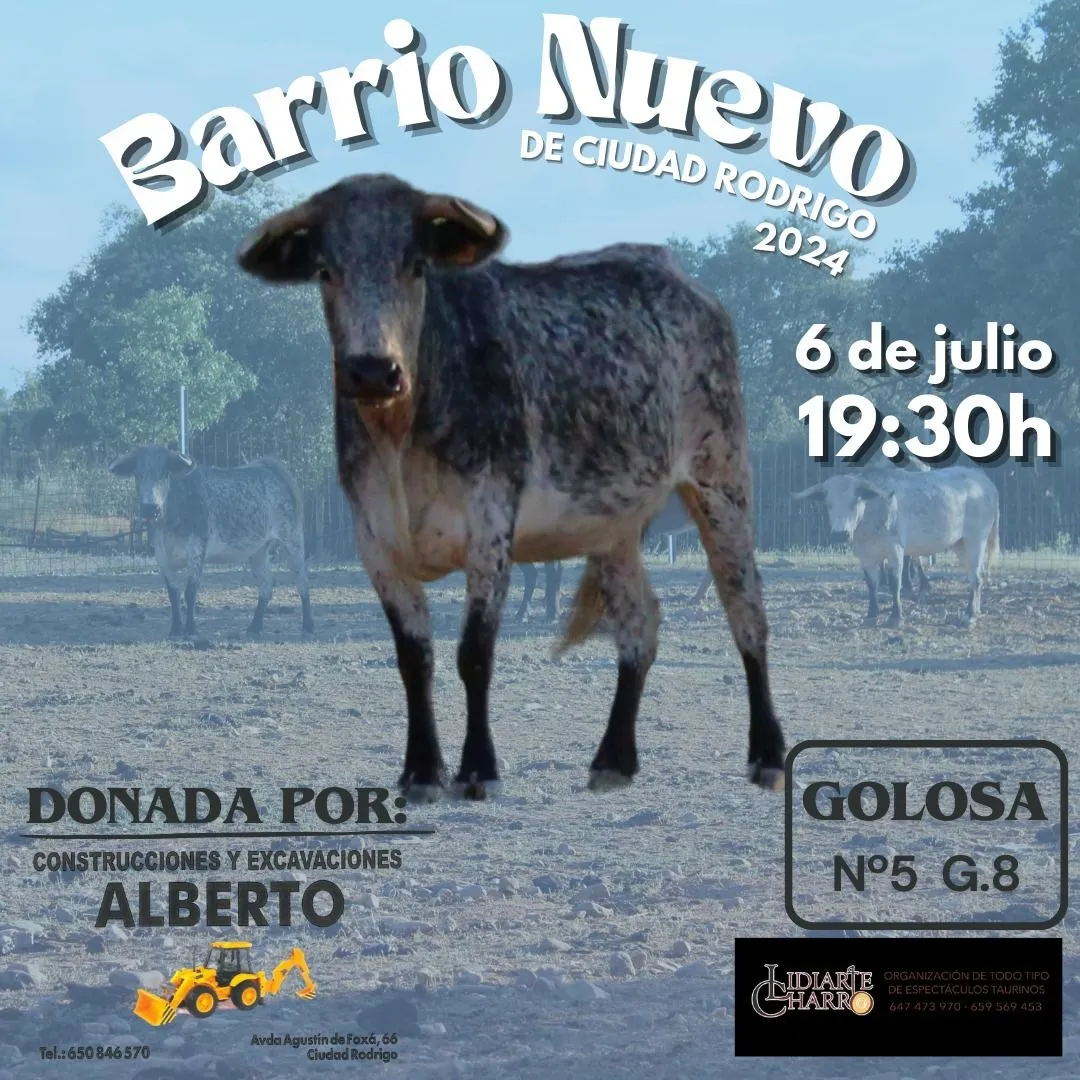 Foto 8 - El Barrio Nuevo contar&aacute; con una vaca y dos novillos en sus fiestas, que pregonar&aacute; Juanjo Carruelas