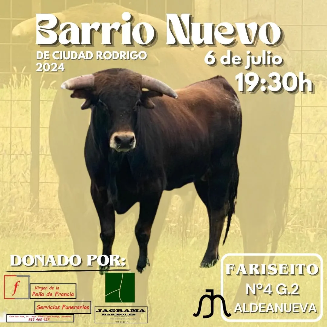 Foto 9 - El Barrio Nuevo contar&aacute; con una vaca y dos novillos en sus fiestas, que pregonar&aacute; Juanjo Carruelas
