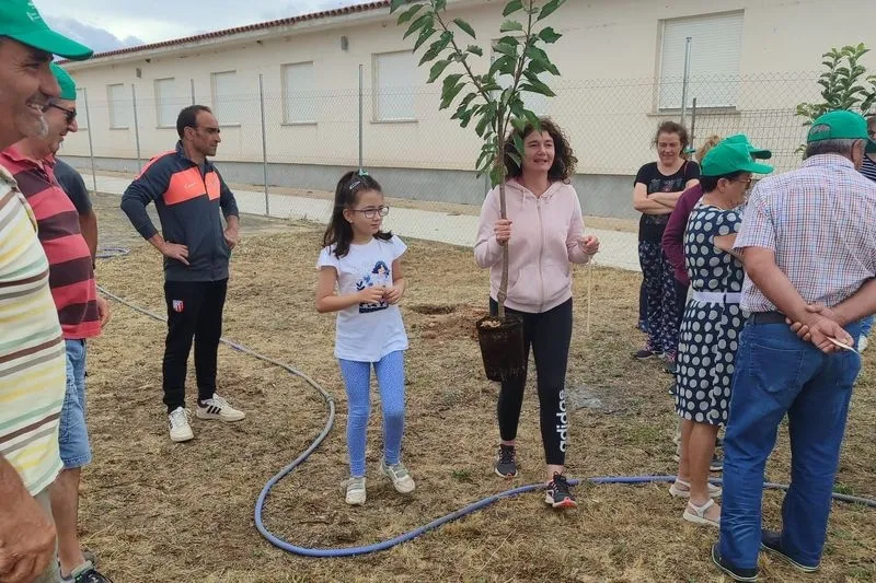 El programa 'Arboleda' permitió a niños y mayores plantar 37 árboles en el patio del colegio de El Cubo de Don Sancho
