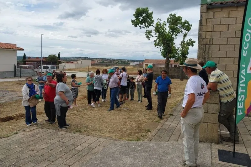 El programa 'Arboleda' permitió a niños y mayores plantar 37 árboles en el patio del colegio de El Cubo de Don Sancho