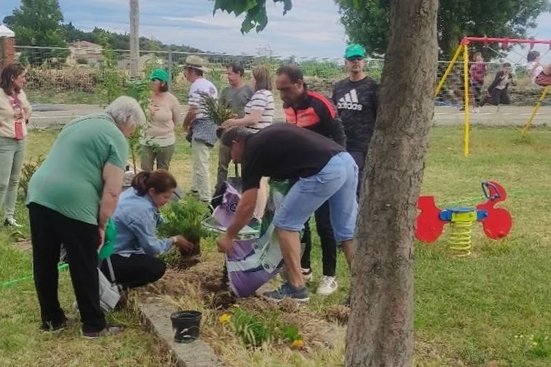 El programa 'Arboleda' permitió a niños y mayores plantar 37 árboles en el patio del colegio de El Cubo de Don Sancho