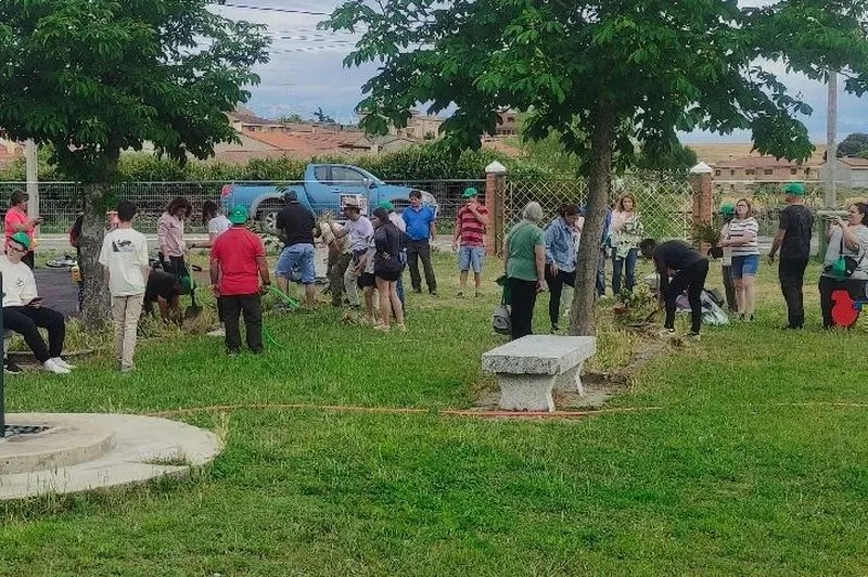 El programa 'Arboleda' permitió a niños y mayores plantar 37 árboles en el patio del colegio de El Cubo de Don Sancho