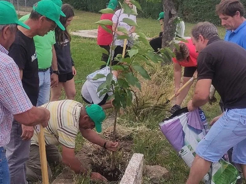 El programa 'Arboleda' permitió a niños y mayores plantar 37 árboles en el patio del colegio de El Cubo de Don Sancho