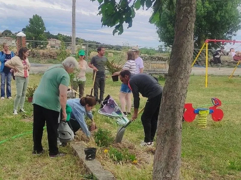El programa 'Arboleda' permitió a niños y mayores plantar 37 árboles en el patio del colegio de El Cubo de Don Sancho