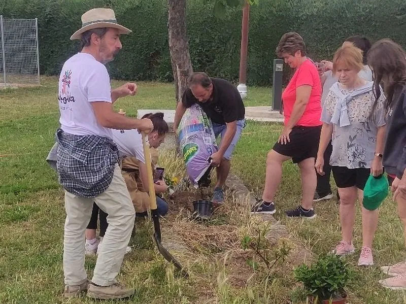 El programa 'Arboleda' permitió a niños y mayores plantar 37 árboles en el patio del colegio de El Cubo de Don Sancho
